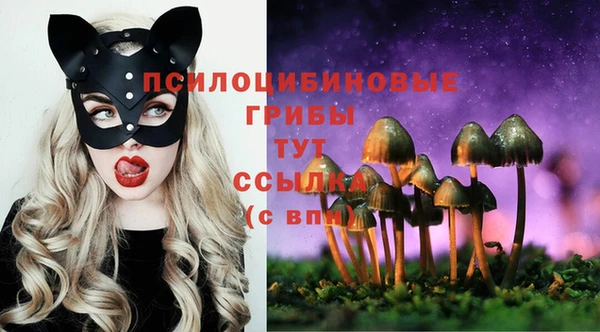 Альфа ПВП Алзамай