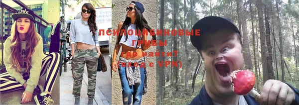 Альфа ПВП Алзамай