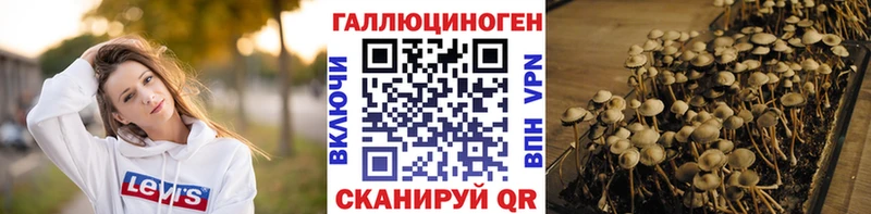 Галлюциногенные грибы Magic Shrooms  гидра сайт  Павлово 